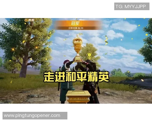 专访张强揭秘和平精英成功背后的策略与创新之路