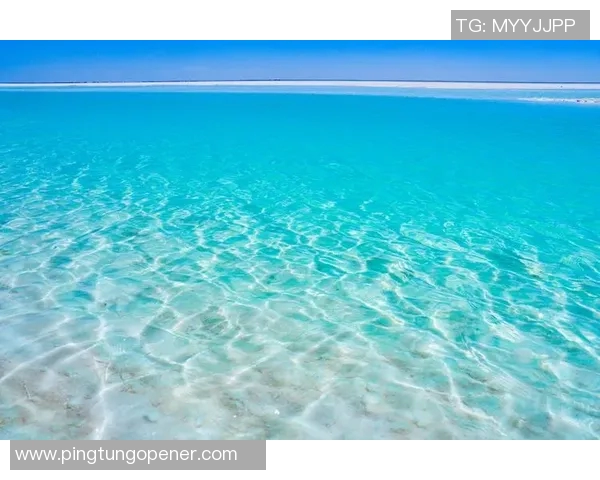 马尔代夫与中国比赛分析及推荐策略分享